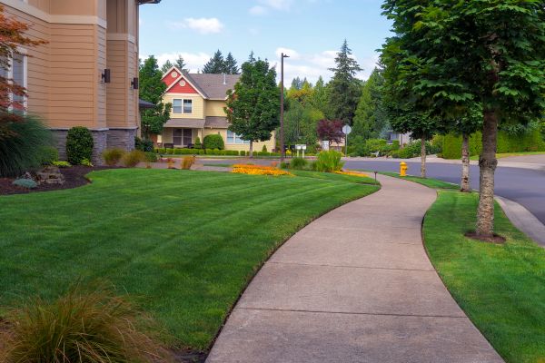 Cost of Sidewalk Patching in Knoxville