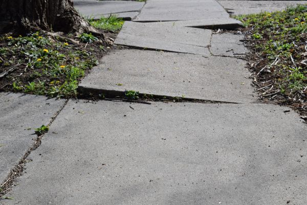 Cost of Trip Hazard Removal in Knoxville